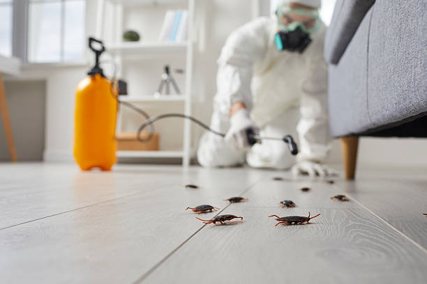 Affordable Cockroach Control solutions in Chevy Chase Heights, PA
